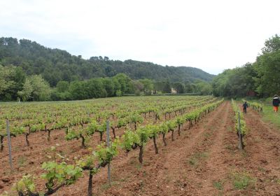 Domaine de Marie - Caveau Luberon/Provence