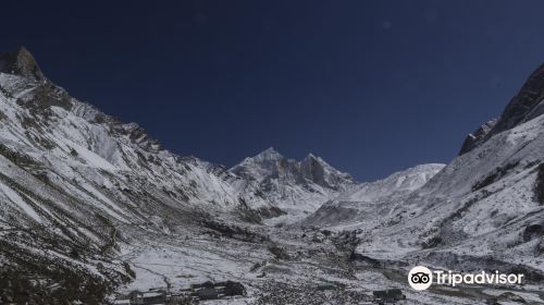 Gangotri National Park