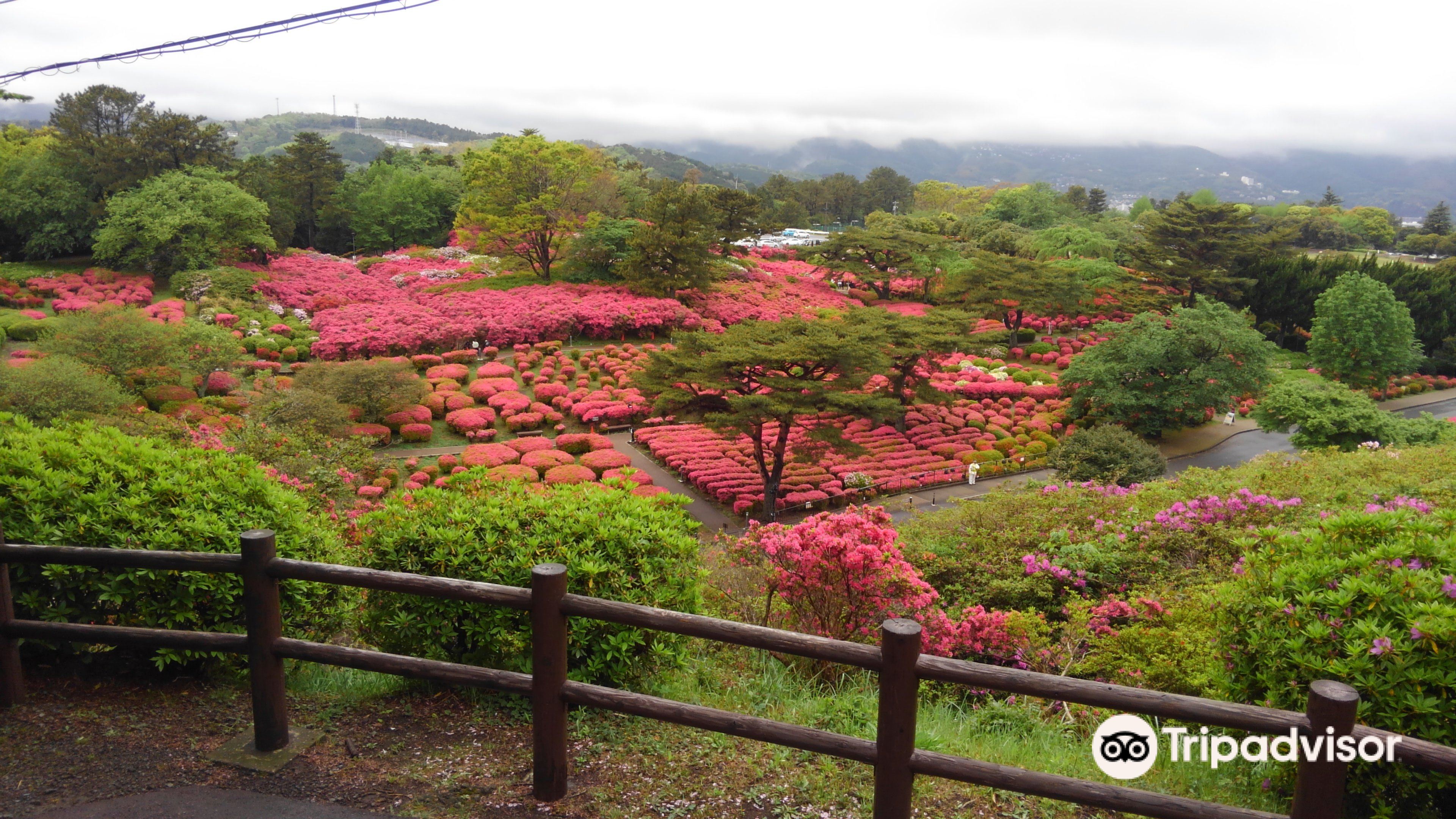 静岡 小室山公園 往復バス＋ケーブルカー Eチケット 予約