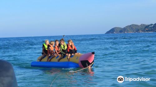 Samui Boat Panmas