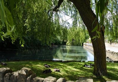 Moreton In Marsh Duck Pond