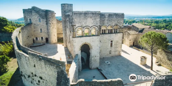 Château de Montélimar