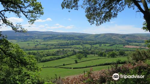 South West Coast Path - Bossington Landscape