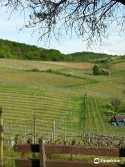 Erlebnispfad Wein und Stein