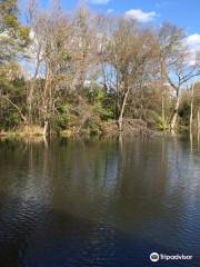 Brick Pond Park