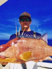 YACHTFISH Fishing Charters