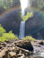 Abiqua Falls Trailhead