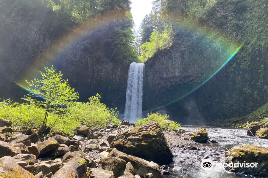 Abiqua Falls Trailhead