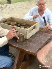 Florissant Fossil Quarry