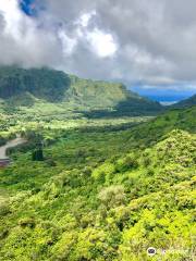 ʻAihualama Trail