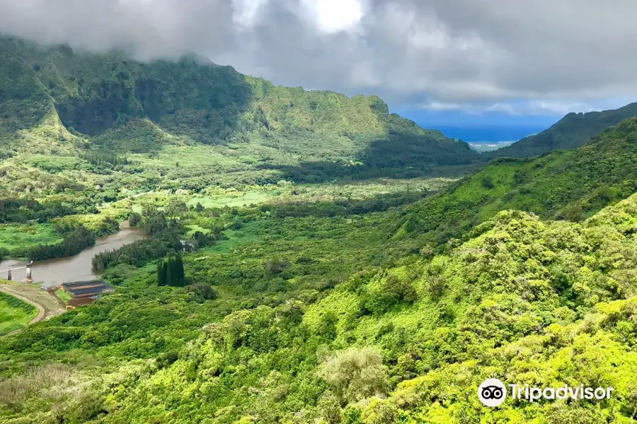 ʻAihualama Trail