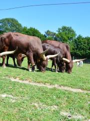 La Ferme du Monde