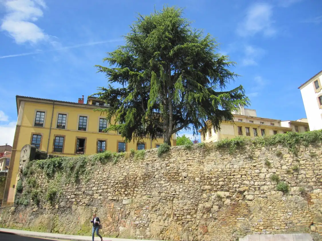 Hotels near Muralla de Oviedo