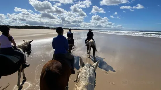 Featherfoot Beach Horse Trails & Riding School