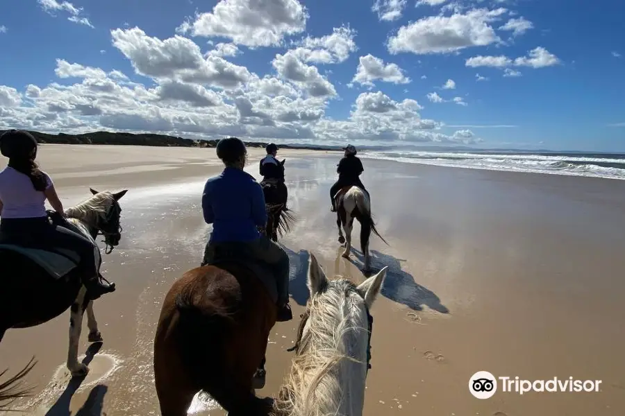 Featherfoot Beach Horse Trails & Riding School