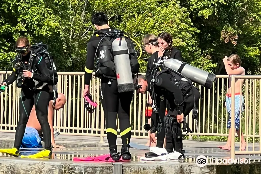 Elite Scuba