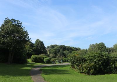 Central Park, Haworth