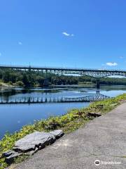 Kennebec River Rail Trail