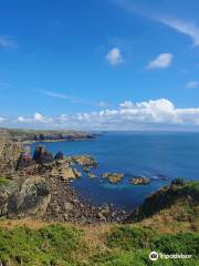 St Non's Chapel and Well