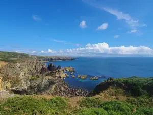 St Non's Chapel and Well