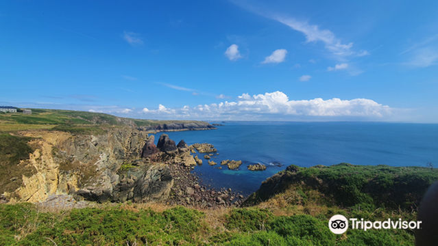 St Non's Chapel and Well
