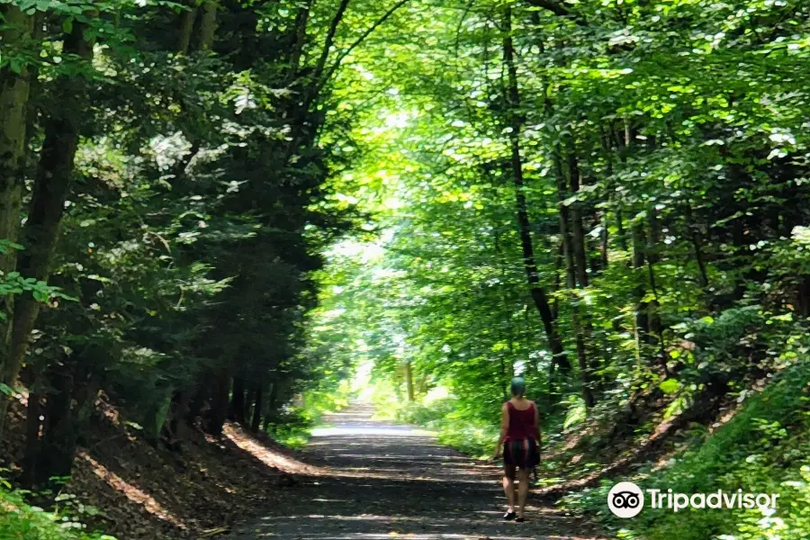 Swatara State Park