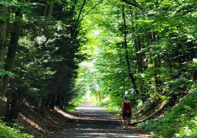 Swatara State Park