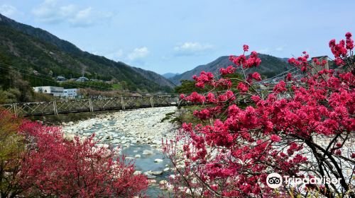 天白公園