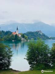 The Fiaker Coachmen of Bled