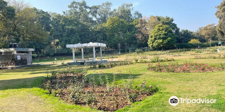 Zakir Hussain Rose Garden