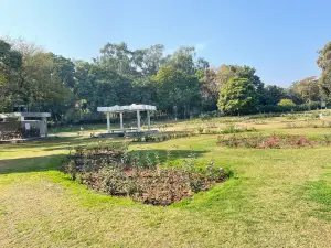 Zakir Hussain Rose Garden