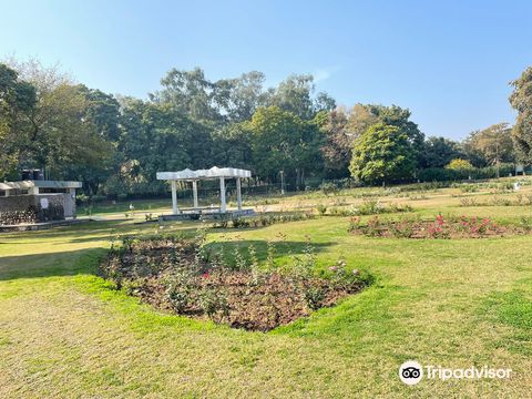 Zakir Hussain Rose Garden