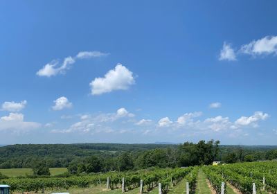 Gouveia Vineyards