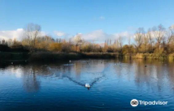 Bedfont Lakes Country Park