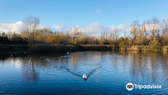 Bedfont Lakes Country Park
