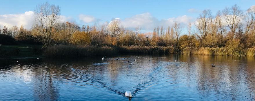 Bedfont Lakes Country Park