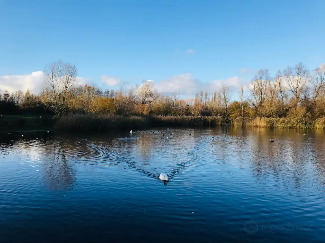 Hotels near Bedfont Lakes Country Park