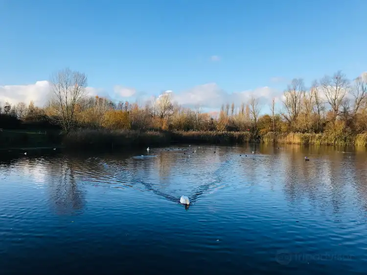 Feltham
