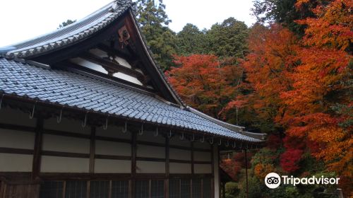 養泉寺