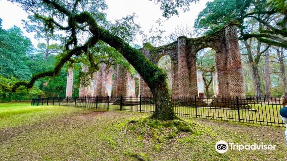 Old Sheldon Church Ruins
