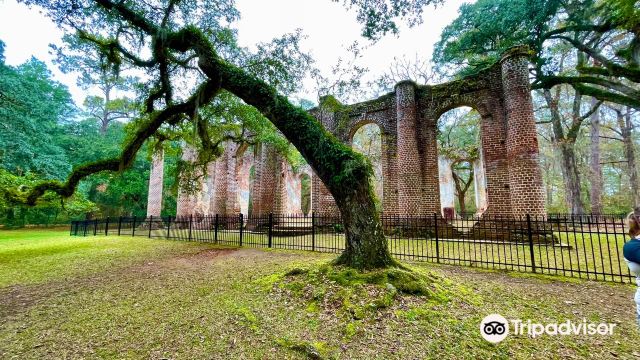 Old Sheldon Church Ruins