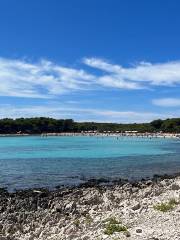 Zadar Boat Adventure