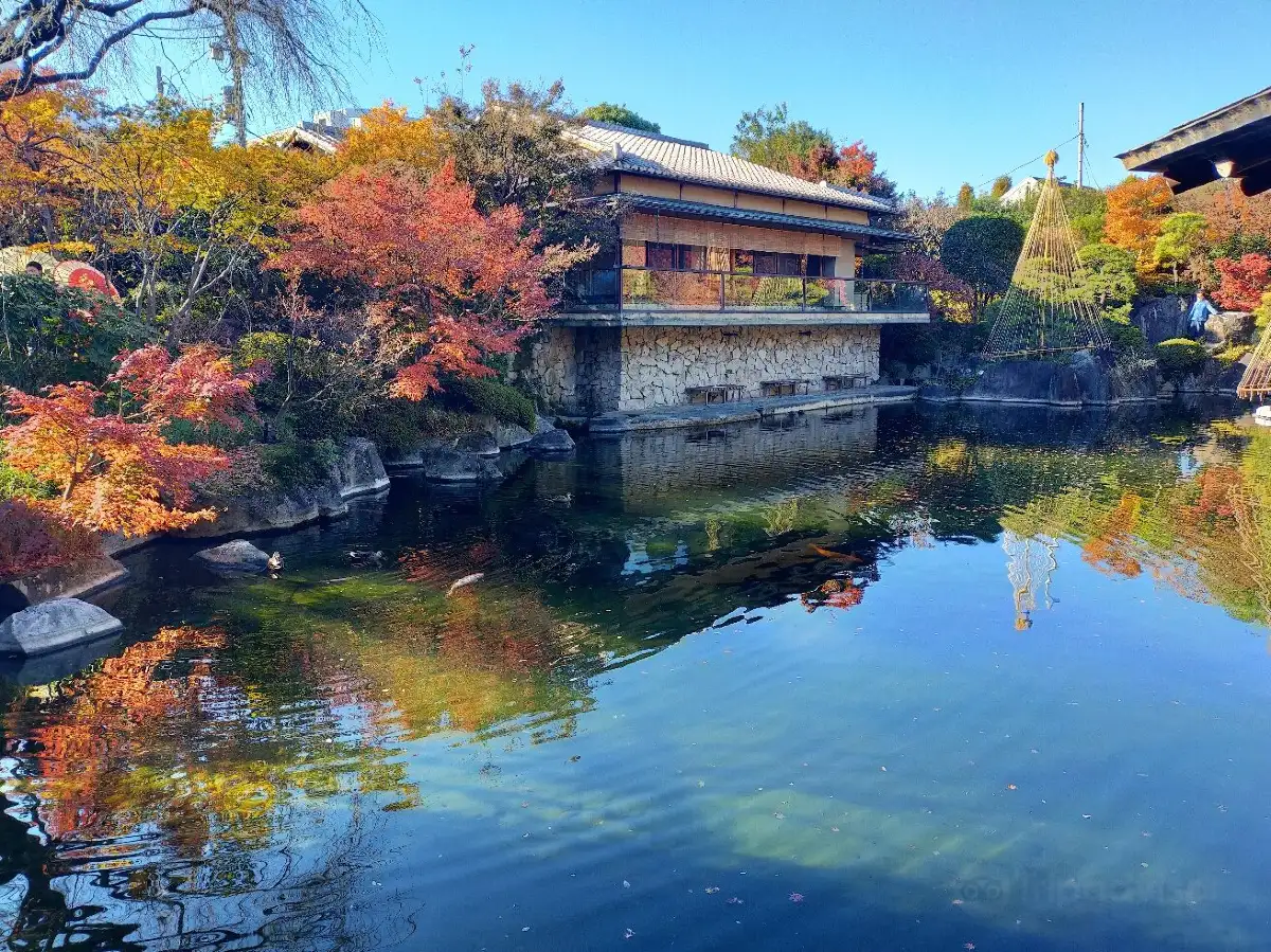 Mejiro Garden