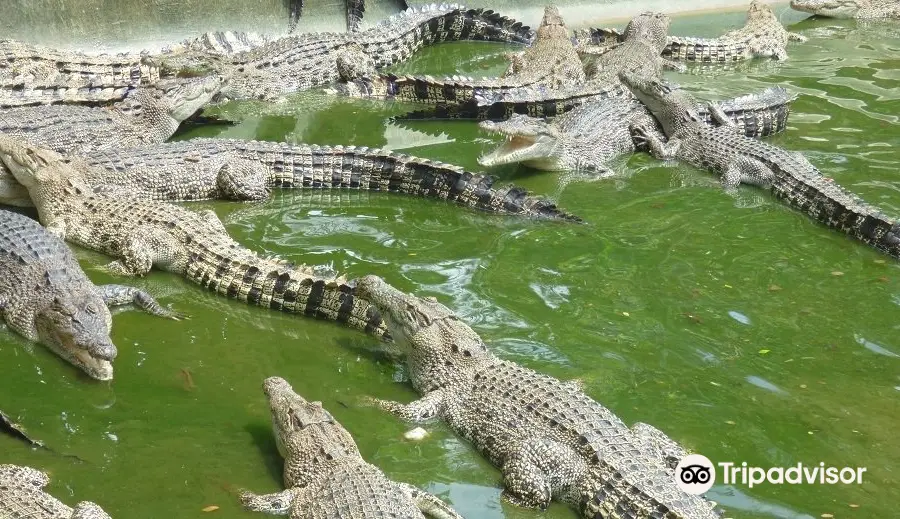 Davao Crocodile Park