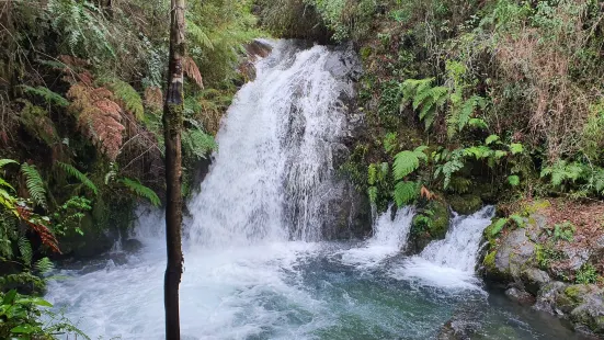 Ojos del Huishue