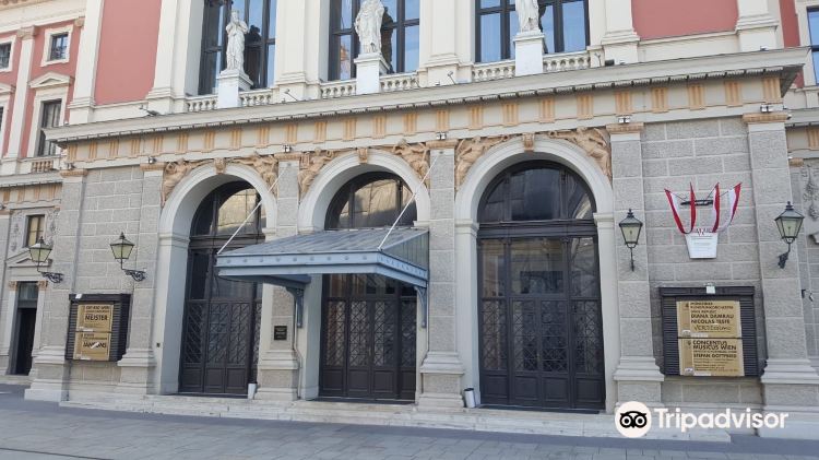 Vienna Music Society