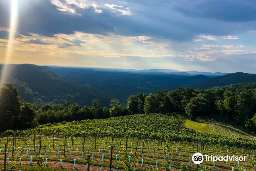 Stone Mountain Vineyards