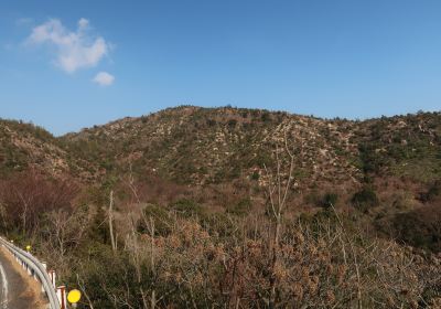 Honjima Island