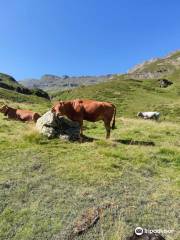 La Ferme Vignecoise Maison Coustalat