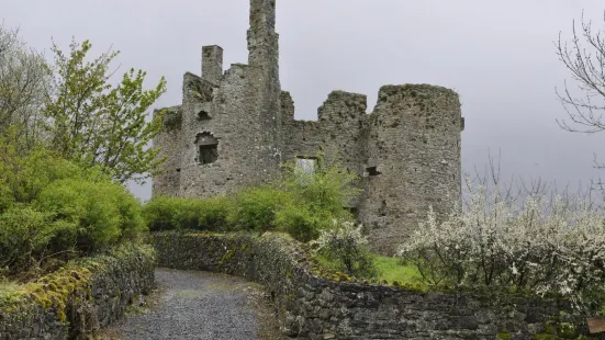 Ballinafad Castle